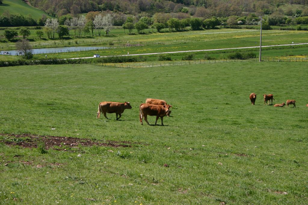 Villa Il Poggiolo Montieri Esterno foto